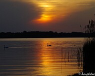 Sonneuntergang am Plauer See4 Sonnenuntergang