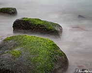 Steine im Wasser Darß Steilküste Wustrow