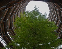 Baumkronenpfad Baumkronenpfad in Binz ( Rügen )