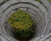 Baumkronenpfad2 Baumkronenpfad in Binz