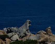 Korsika2016 Bild12