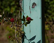 IMGP4759