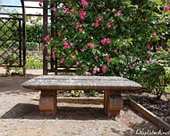 20180603_113546